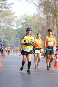 BIB: 25082
                            <button type="button" onclick="openModal(10356464)" class="btn btn-primary btn-sm float-right btn-popup" data-toggle="modal" data-target=".modal-high-quality">
                        <i class="fas fa-shopping-cart"></i> Add to Cart
                    </button>
                                            <button type="button" onclick="isThisMe(10356464, true)" class="btn btn-success btn-sm float-right btn-popup btn-isme hidden" data-toggle="tooltip" data-placement="bottom" title="นี่คือรูปของคุณใช่ไหม คลิกที่นี่เพื่อเอาเข้าอัลบั้ม">
                        <i class="fas fa-plus"></i> Add to album
                    </button>
                    <button type="button" onclick="isThisMe(10356464, false)" class="btn btn-warning btn-sm float-right btn-popup btn-isnotme hidden">
                        <i class="fas fa-ban"></i> Remove from album
                    </button>